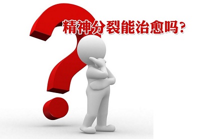成都棕南医院治精分好不好?
